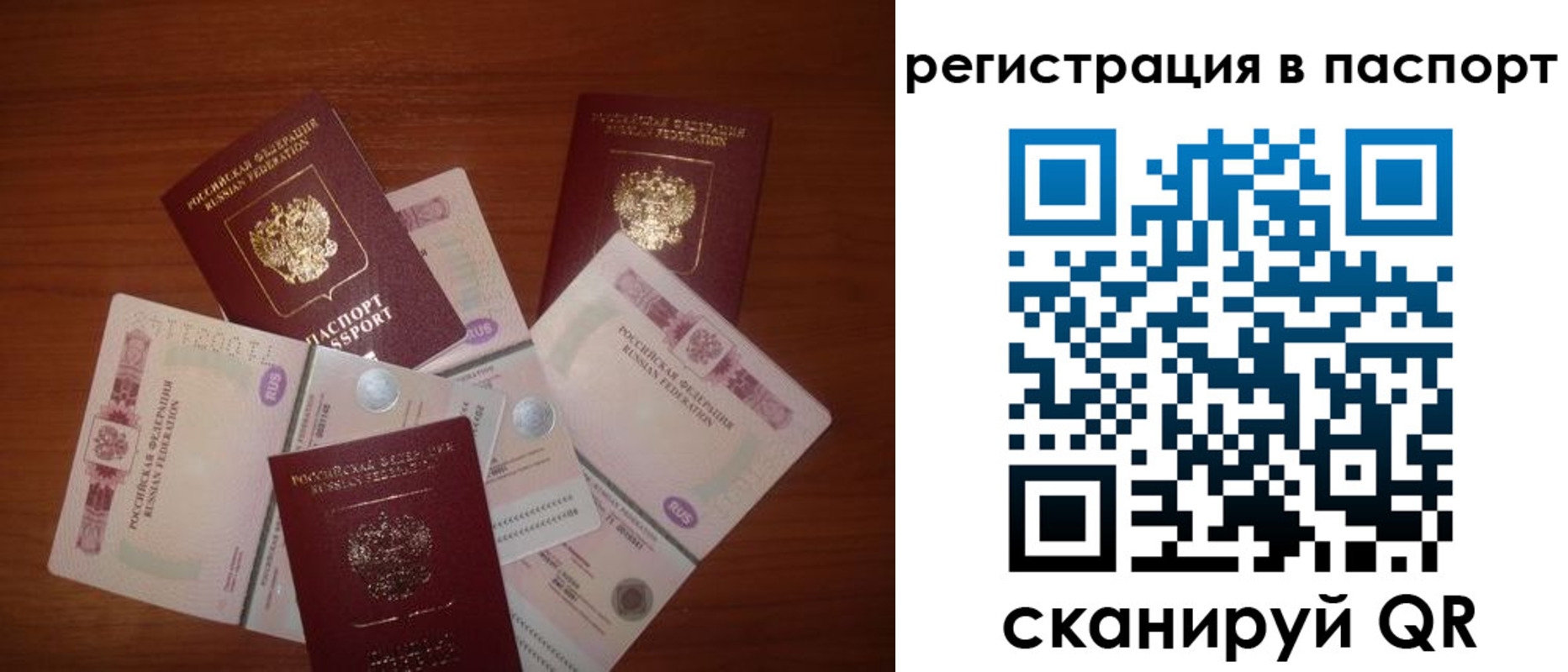 временная регистрация поиск в Камешково